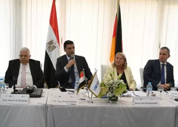 Egypt eyes low-carbon industry to boost global competitiveness