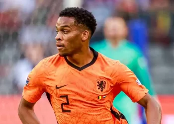 Netherlands lose Timber for World Cup