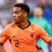 Netherlands lose Timber for World Cup 9 - Egyptian Gazette Netherlands lose Timber for World Cup