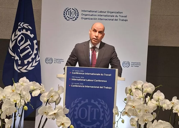 Egypt committed to social protection, decent work 11 - Egyptian Gazette