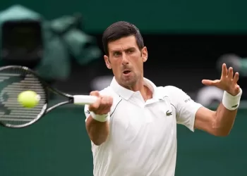 Serena inspires Djokovic’s Wimbledon bid