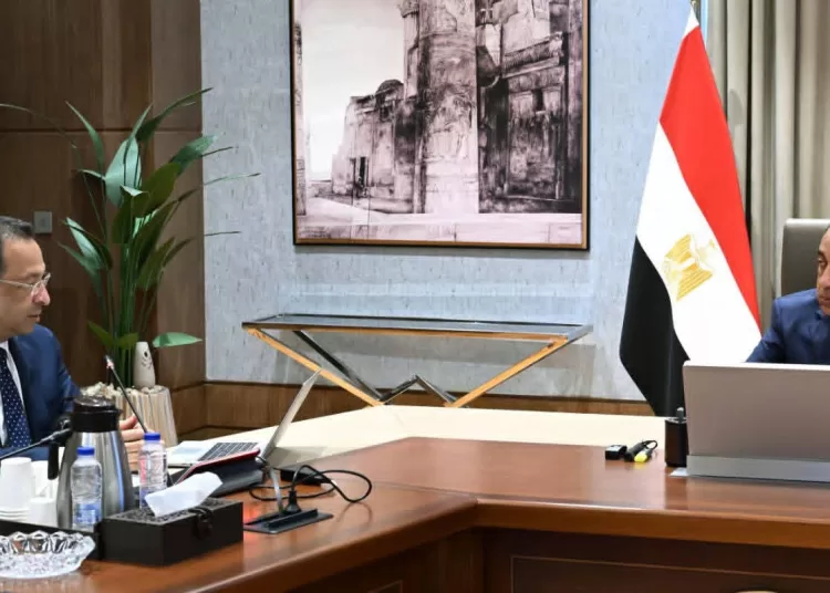 Egypt targets $6b in outsourcing exports this year 12 - Egyptian Gazette