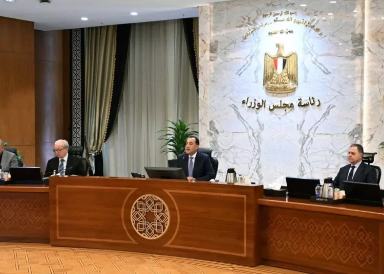 Cabinet highlights record wheat supply, zero oil debt 9 - Egyptian Gazette