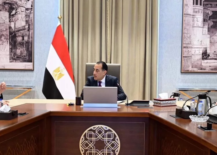 PM reviews restructuring plan of economic bodies 12 - Egyptian Gazette