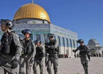 Egypt strongly condemns repeated Israeli settler raids on Al-Aqsa Mosque