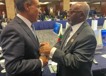 African ministers