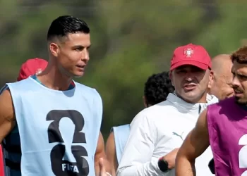 Ronaldo a role model, says Portugal coach