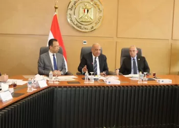 Egypt advances strategy for data centres powered by renewable energy 
