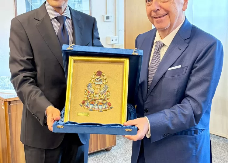 Egypt seeks to safeguard rights of Egyptians in Italy 11 - Egyptian Gazette
