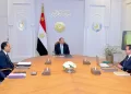 President Sisi directs full readiness of healthcare facilities, accelerated digitalisation of UHIS