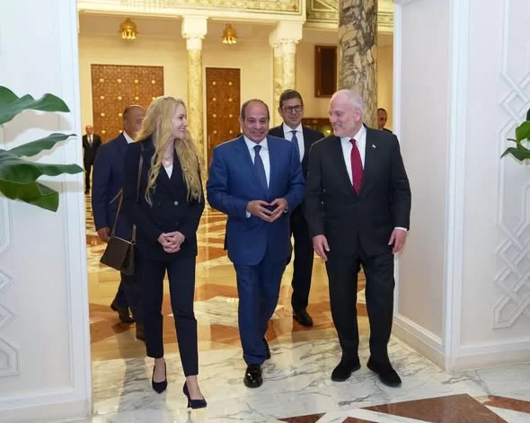 Sisi receives delegation of major American Jewish organisations, reaffirms Egypt’s role in promoting ME peace, stability 15 - Egyptian Gazette