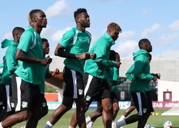 Germany, Sweden face crucial W. Cup ties