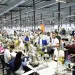 Textiles drive Egypt’s industrial ambitions