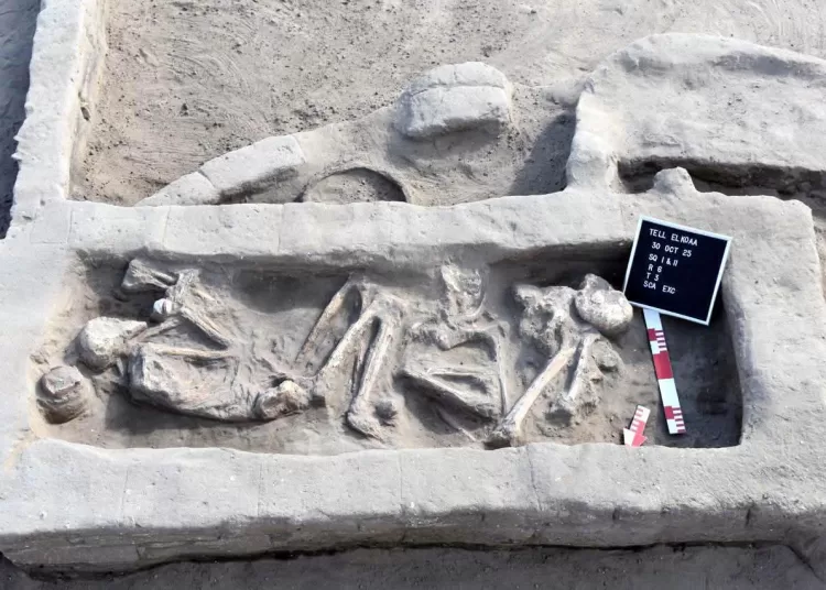 Ancient settlement discovered in Ismailia 11 - Egyptian Gazette