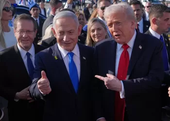 Trump-netn