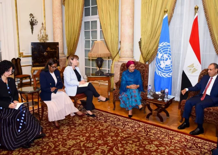 Egypt reaffirms support for UN, urges stronger multilateral action to address global challenges 12 - Egyptian Gazette