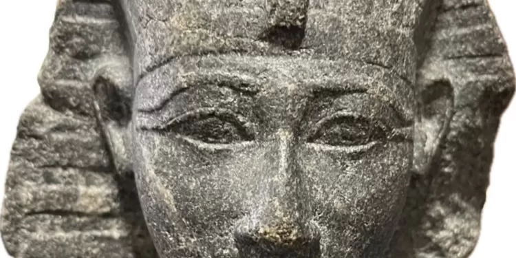 Egyptian Gazette 45 - Egyptian Gazette