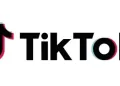 TikTok removes 11.7m videos in MENA safety push