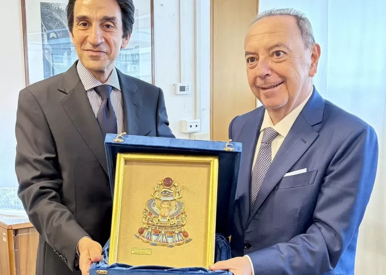 Egypt seeks to safeguard rights of Egyptians in Italy 11 - Egyptian Gazette