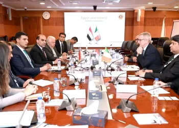 Egypt, Ireland seek to boost industrial co-operation
