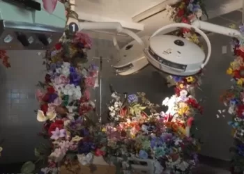 Artists turn hospital into emotional exhibit