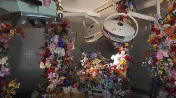 Artists turn hospital into emotional exhibit 11 - Egyptian Gazette