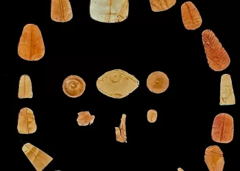 Golden tongues, rock‑cut tombs unearthed at Marina El‑Alamein