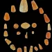 Golden tongues, rock‑cut tombs unearthed at Marina El‑Alamein