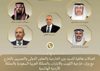 Arab FMs back Egypt, call for regional de-escalation