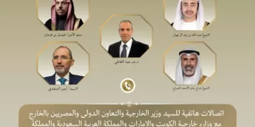 Arab FMs back Egypt, call for regional de-escalation
