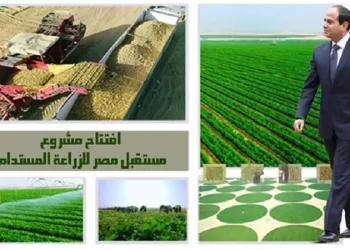 Empowering Future of Egypt to tackle food security, lower living costs