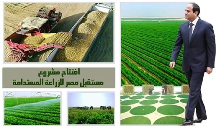 Empowering Future of Egypt to tackle food security, lower living costs 14 - Egyptian Gazette Empowering Future of Egypt to tackle food security, lower living costs 13 - Egyptian Gazette