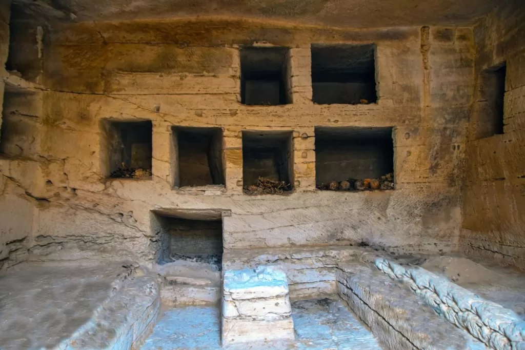 Golden tongues, rock‑cut tombs unearthed at Marina El‑Alamein 15 - Egyptian Gazette Golden tongues, rock‑cut tombs unearthed at Marina El‑Alamein 14 - Egyptian Gazette