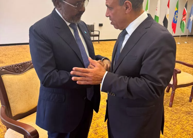 Egypt backs Somali sovereignty, territorial integrity 11 - Egyptian Gazette