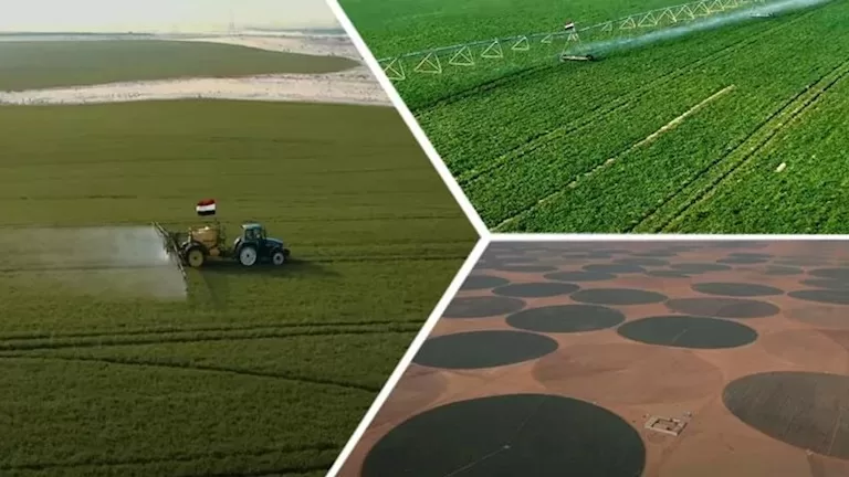 Empowering Future of Egypt to tackle food security, lower living costs 15 - Egyptian Gazette Empowering Future of Egypt to tackle food security, lower living costs 14 - Egyptian Gazette