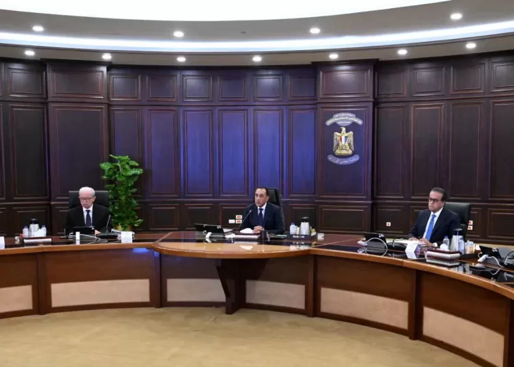 Gov't reviews regional developments, social protection measures 13 - Egyptian Gazette Gov't reviews regional developments, social protection measures 12 - Egyptian Gazette