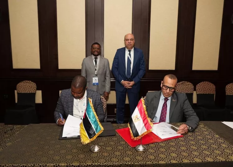 Egypt, Mozambique sign civil aviation MoU on technical co-operation 12 - Egyptian Gazette