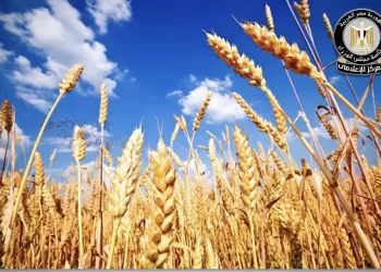 Quashing reports on decline of strategic crop cultivation