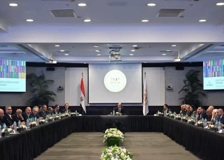 Egypt steps up efforts to modernise investment, foreign trade ecosystem 12 - Egyptian Gazette