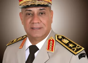 Egypt, Türkiye to boost military ties