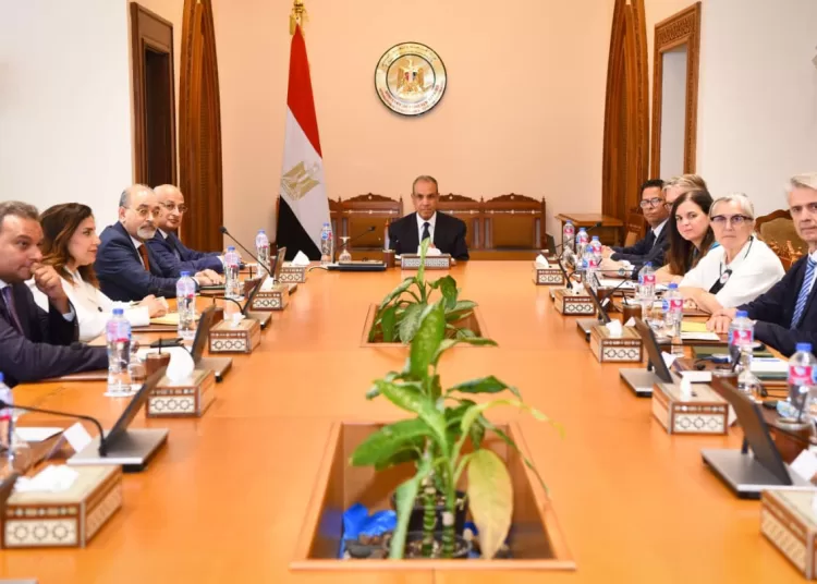 Egypt to boost co-operation with Euro Parl’t 12 - Egyptian Gazette Egypt to boost co-operation with Euro Parl’t 11 - Egyptian Gazette