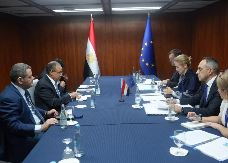 FM probes regional crises, irregular migration with EU High Representative in Manila 11 - Egyptian Gazette