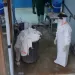 Ebola
