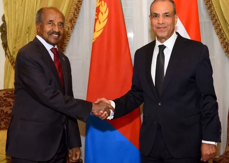 Egypt, Eritrea FMs discuss bilateral ties, Red Sea security and Horn of Africa 13 - Egyptian Gazette Egypt, Eritrea FMs discuss bilateral ties, Red Sea security and Horn of Africa 12 - Egyptian Gazette