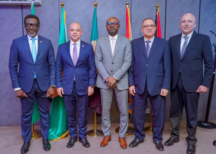 Investment Min., Nigerian officials discuss digital transformation, healthcare co-operation 13 - Egyptian Gazette Investment Min., Nigerian officials discuss digital transformation, healthcare co-operation 12 - Egyptian Gazette