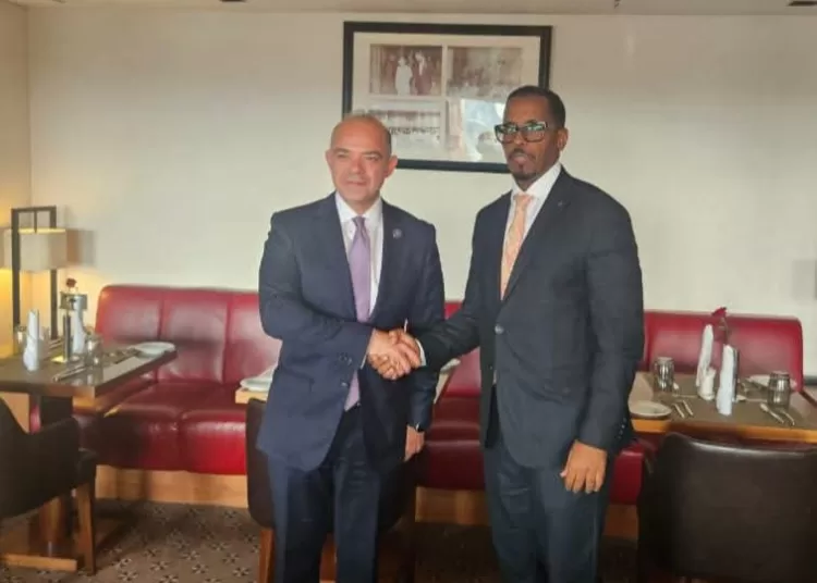 Egypt, Djibouti discuss expanding trade links on AfCFTA sidelines 11 - Egyptian Gazette