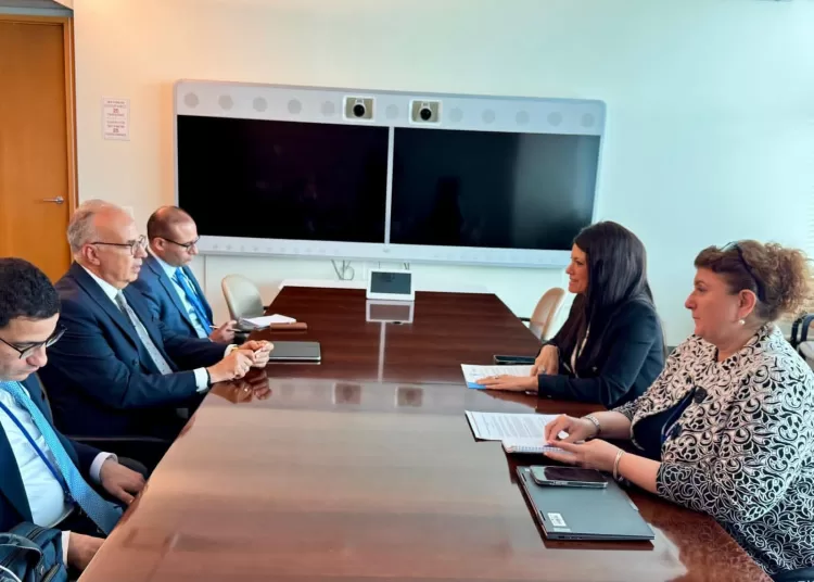Egypt, ESCWA discuss ways to boost ties in water resources management 12 - Egyptian Gazette