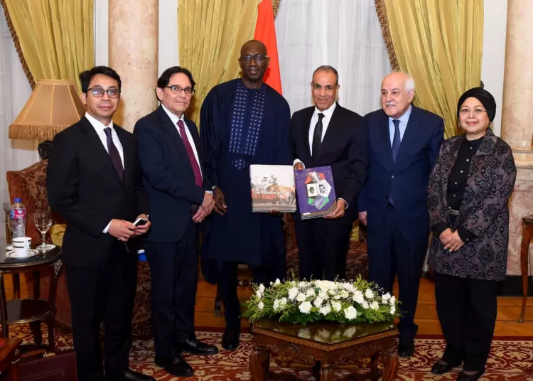 FM receives UN delegation, reiterates support for Palestinian rights 10 - Egyptian Gazette