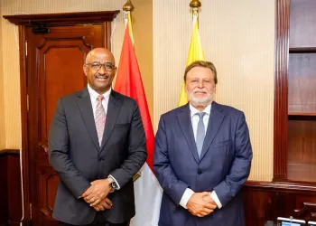 Egypt, Eswatini central bank chiefs discuss closer co-operation