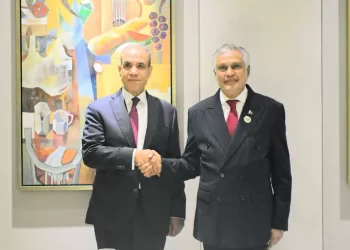 Egypt, Pakistan mull ways to advance political, economic, defence co-operation